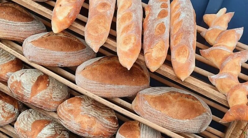 introducing-andrea-colognese-and-the-jamestown-bread-project
